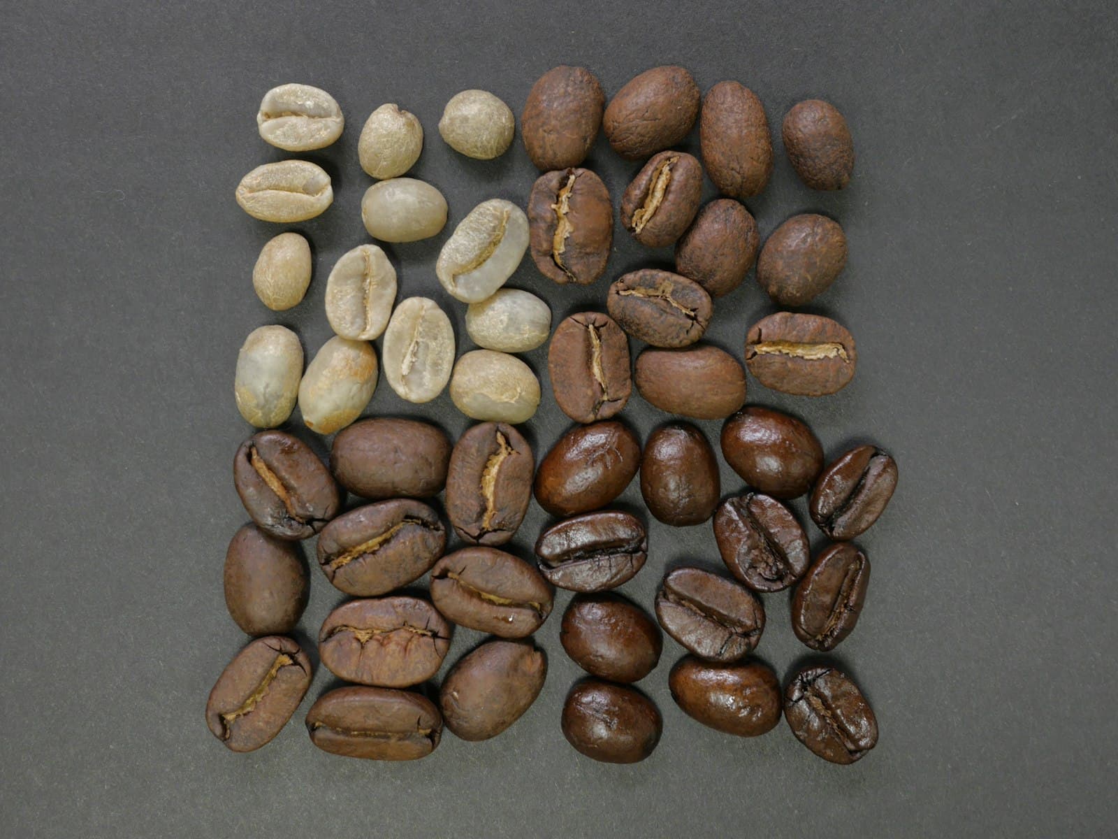 生豆から浅煎り・中煎り・深煎りまで並べたコーヒー豆