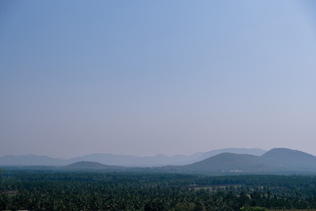 インド チクマガルールのコーヒー