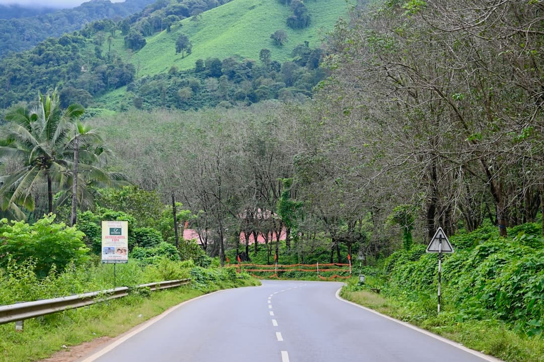 An empty road in the middle of a lush green valley