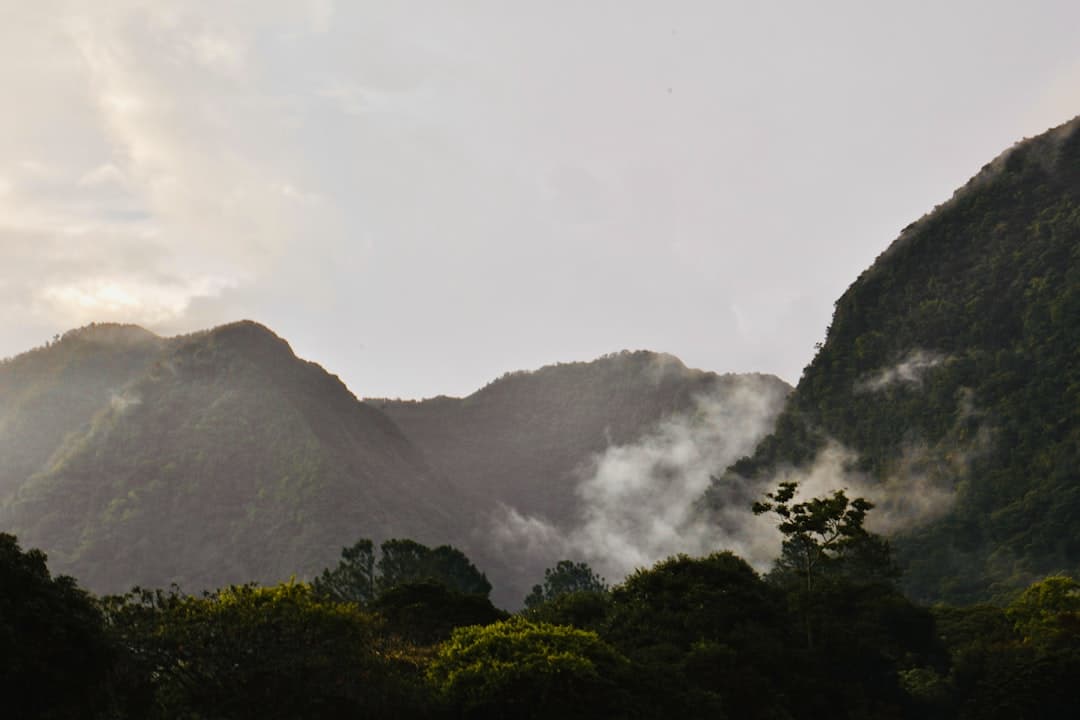 Misty mountains covered in lush green forest foliage.