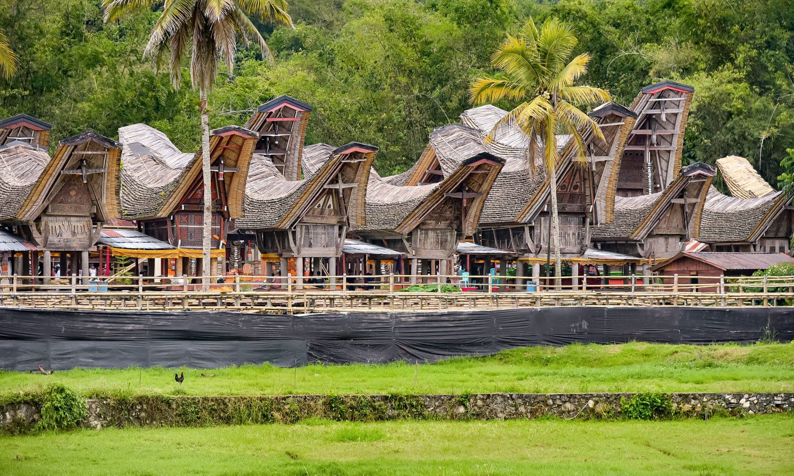 Toraja (Indonesia) landscape